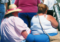 Illustration for article titled America's Obese: A Food Source For America's Even More Obese?
